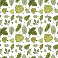 Leaves Seamless vector background N6