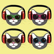 funny cats in music headphones and sunglasses