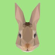 Polygonal rabbit abstract geometric background