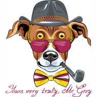 vector funny cartoon hipster Greyhound Dog breed