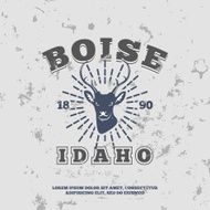 Boise Idaho grunge effect on separate layer N2