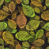 Autumn leaves seamless pattern floral background N29