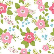 Shabby chic rose background N5