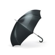 Umbrella N42