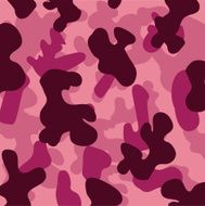 Camouflage design N2