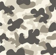 Camouflage design N3