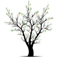 Spring Tree N10