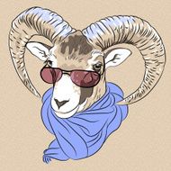vector closeup portrait of funny Alpine ibex N2