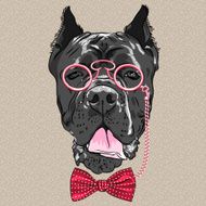 vector funny cartoon hipster dog Cane Corso