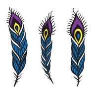 Peacock Feather set
