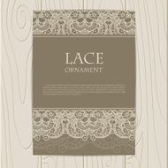 Vector lace ornament background N21