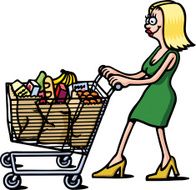 Shopping trolley N2