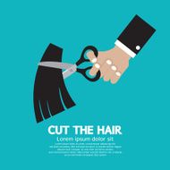Cut The Hair