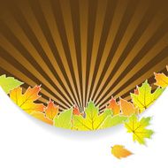 Autumn abstract background with leaf N14