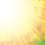 Autumn abstract background with leaf N15