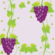 Grape with blur autumn background and bubbles N2