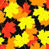 Seamless pattern of maple leaves Vector illustration