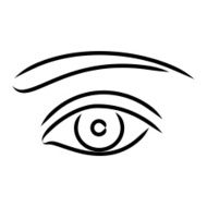 Human eye - vector illustration