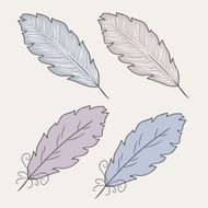 Vector illustration pf feathers