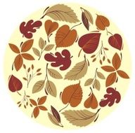 autumn leaf background N25
