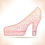 Geometric shoe