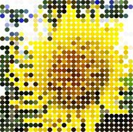 abstract yellow polka dots sunflower pattern background