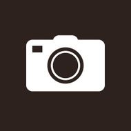 Camera Icon N81