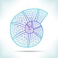 Geometric shell