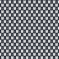 Traditional japanese kimono pattern Seamless vector illustration N2