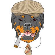 vector funny cartoon hipster dog Rottweiler