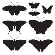 Vector black silhouettes of butterflies N3