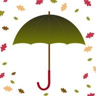 Umbrella autumn N3