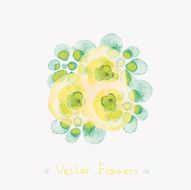 Flowers N135