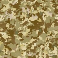 Camouflage military background N14