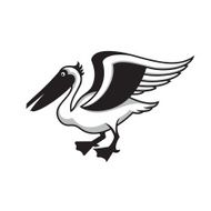 Pelican N2