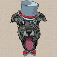 vector funny cartoon hipster dog Schnauzer N2