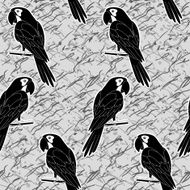 Seamless pattern black and white parrots