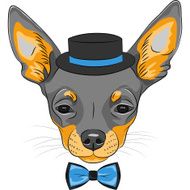 vector cartoon hipster dog Chihuahua breed