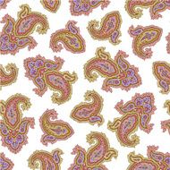pattern of paisley N9