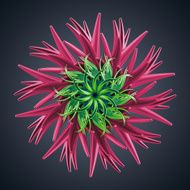 microbiological organic shape virus macro N4