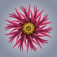 microbiological organic shape virus macro N5