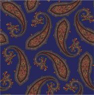 pattern of paisley N10