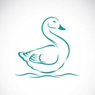 Vector image of swan