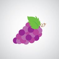 wine grape