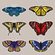 set with isolated butterflies N3