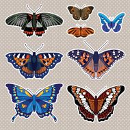 set with isolated butterflies N4