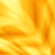 Image abstract leaf yellow nice design