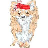 vector fashion dog Chihuahua breed smiling