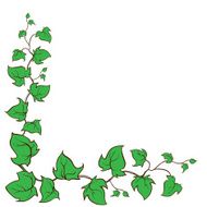 Ivy vector hand drawn frame Climbing and ground-creeping woody plant N2