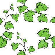 Ivy vector hand drawn seamless pattern Climbing woody plant N3